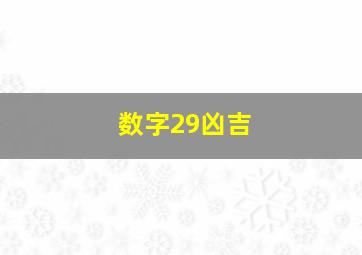 数字29凶吉