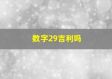 数字29吉利吗