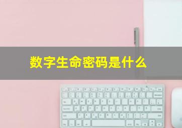 数字生命密码是什么