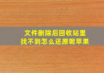 文件删除后回收站里找不到怎么还原呢苹果