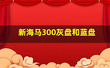 新海马300灰盘和蓝盘