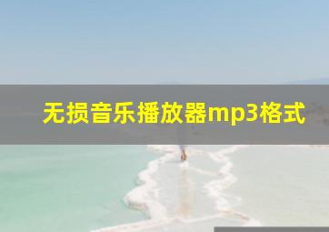 无损音乐播放器mp3格式