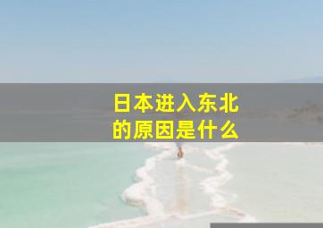 日本进入东北的原因是什么