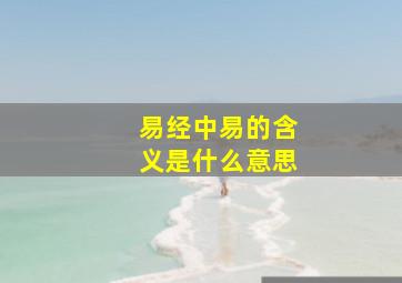 易经中易的含义是什么意思