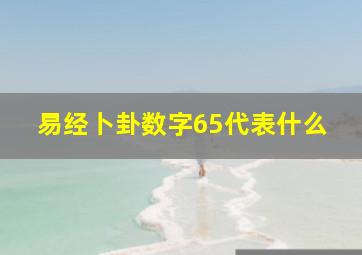 易经卜卦数字65代表什么