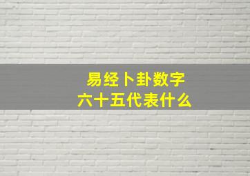 易经卜卦数字六十五代表什么