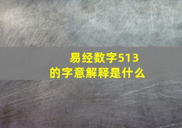 易经数字513的字意解释是什么