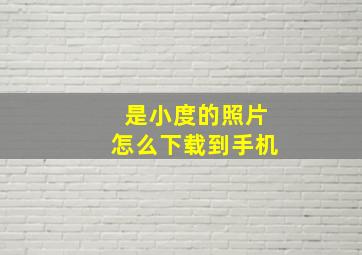 是小度的照片怎么下载到手机