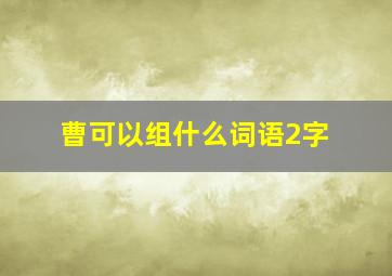 曹可以组什么词语2字