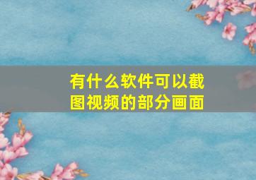 有什么软件可以截图视频的部分画面