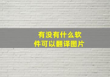 有没有什么软件可以翻译图片