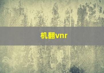 机翻vnr