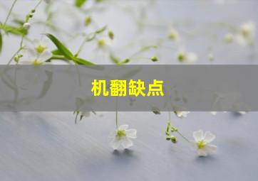 机翻缺点