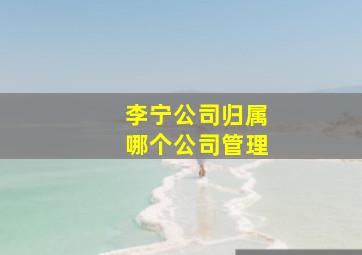 李宁公司归属哪个公司管理