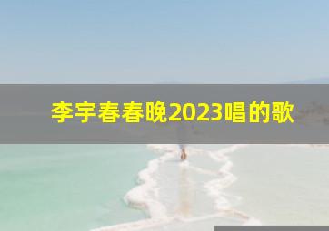 李宇春春晚2023唱的歌