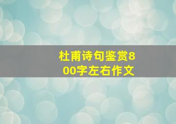 杜甫诗句鉴赏800字左右作文