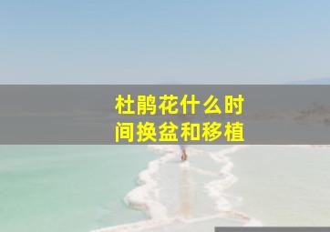 杜鹃花什么时间换盆和移植