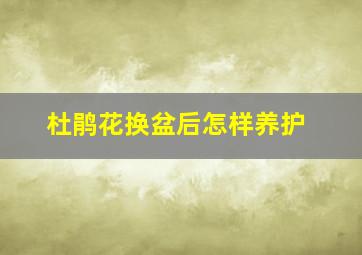 杜鹃花换盆后怎样养护