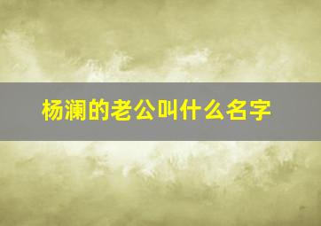 杨澜的老公叫什么名字