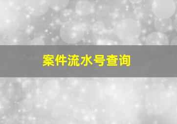 案件流水号查询