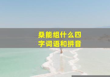 桑能组什么四字词语和拼音