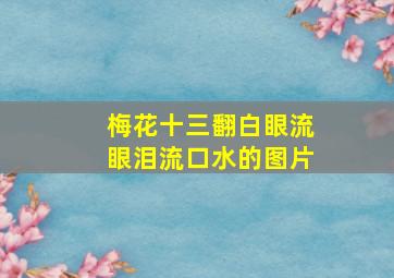 梅花十三翻白眼流眼泪流口水的图片