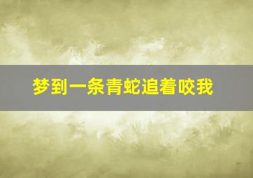 梦到一条青蛇追着咬我