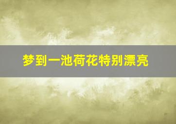 梦到一池荷花特别漂亮