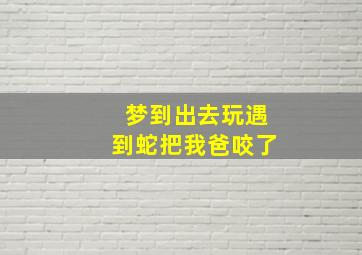 梦到出去玩遇到蛇把我爸咬了