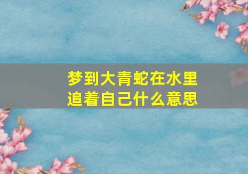 梦到大青蛇在水里追着自己什么意思