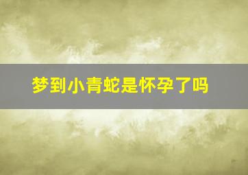 梦到小青蛇是怀孕了吗