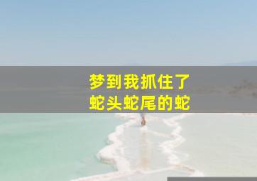 梦到我抓住了蛇头蛇尾的蛇