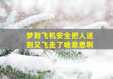 梦到飞机安全把人送到又飞走了啥意思啊