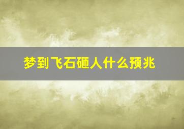 梦到飞石砸人什么预兆