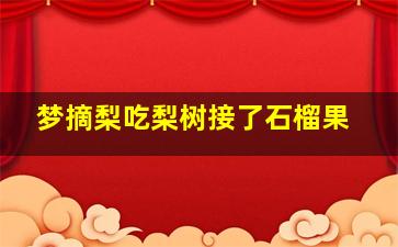 梦摘梨吃梨树接了石榴果