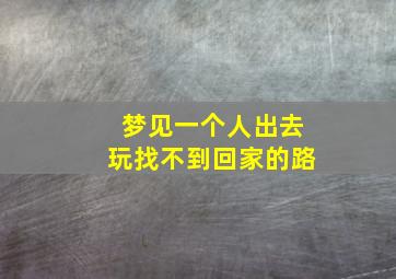 梦见一个人出去玩找不到回家的路