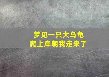 梦见一只大乌龟爬上岸朝我走来了