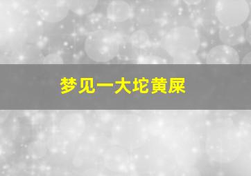 梦见一大坨黄屎