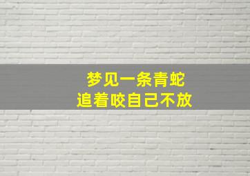 梦见一条青蛇追着咬自己不放