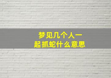 梦见几个人一起抓蛇什么意思