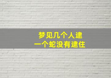 梦见几个人逮一个蛇没有逮住