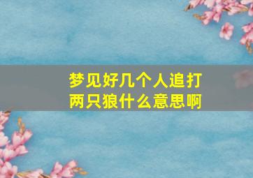 梦见好几个人追打两只狼什么意思啊