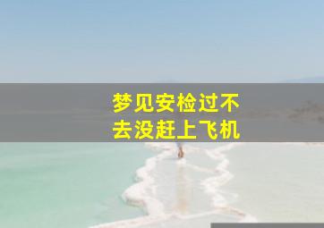 梦见安检过不去没赶上飞机