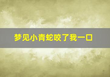 梦见小青蛇咬了我一口