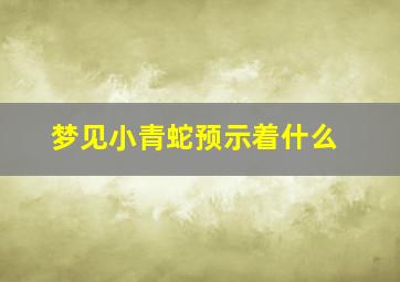 梦见小青蛇预示着什么