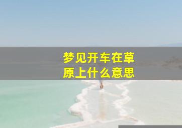 梦见开车在草原上什么意思