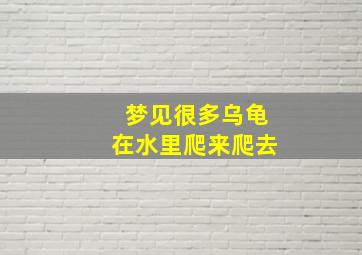 梦见很多乌龟在水里爬来爬去