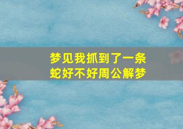 梦见我抓到了一条蛇好不好周公解梦