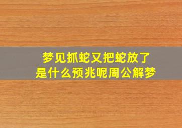 梦见抓蛇又把蛇放了是什么预兆呢周公解梦