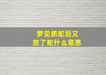 梦见抓蛇后又放了蛇什么意思